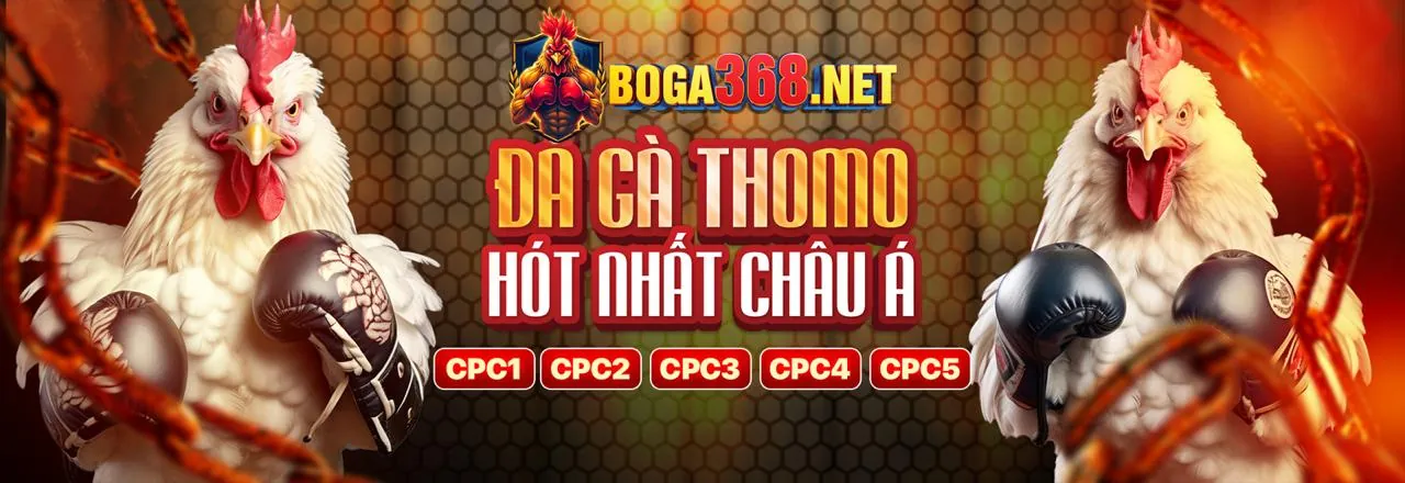Phân tích tương lai ngành cá cược trực tuyến và vai trò của km88 casino